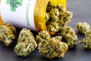 enroll in marijuana detox